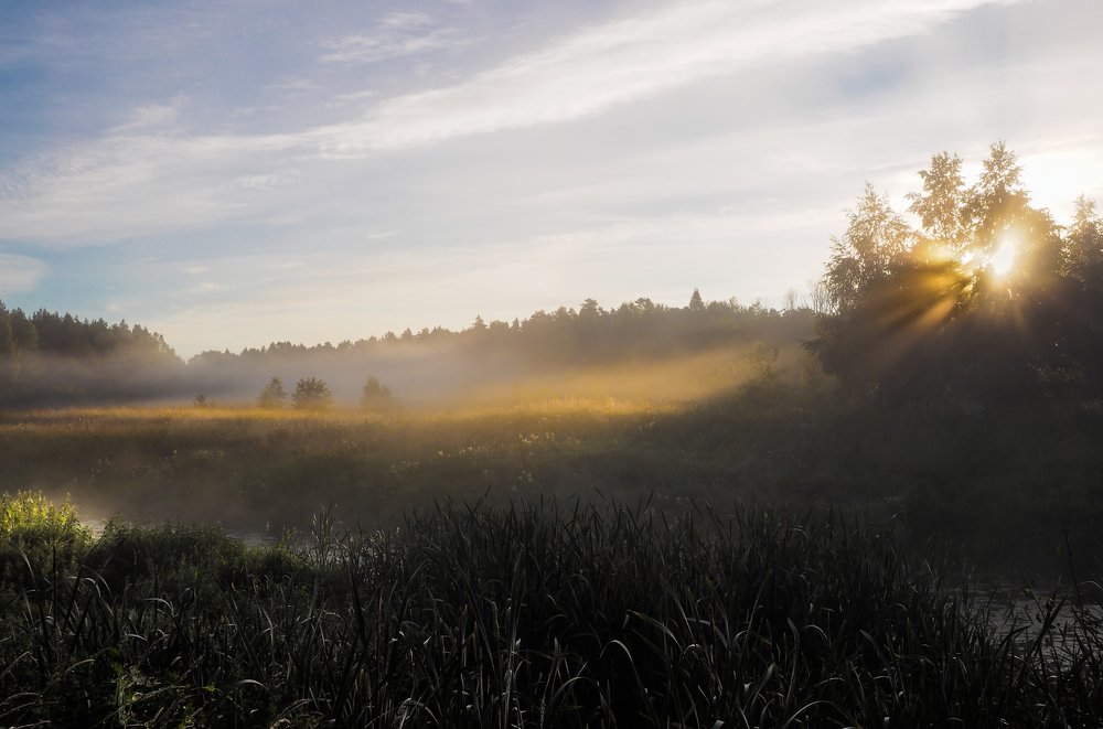 Июльский рассвет. Где-то в средней России...
