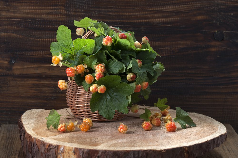 Photograph by Галина Щипакина