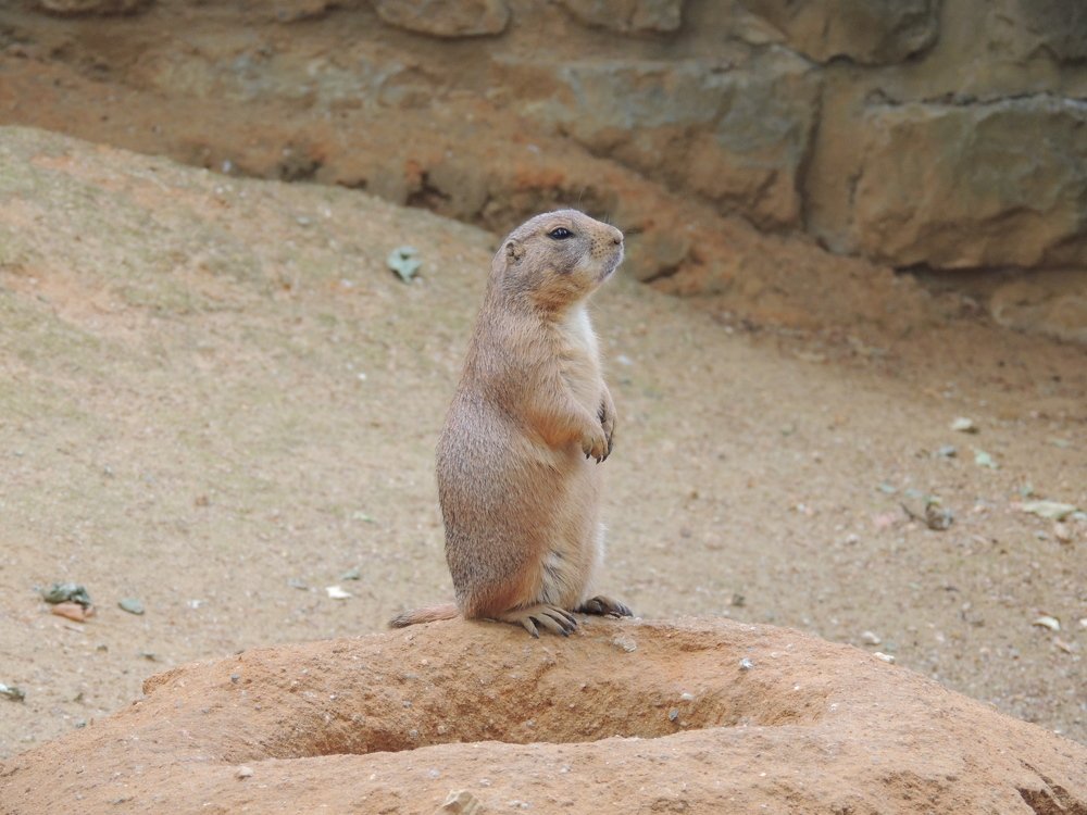 Photograph by Светлана Гринцова