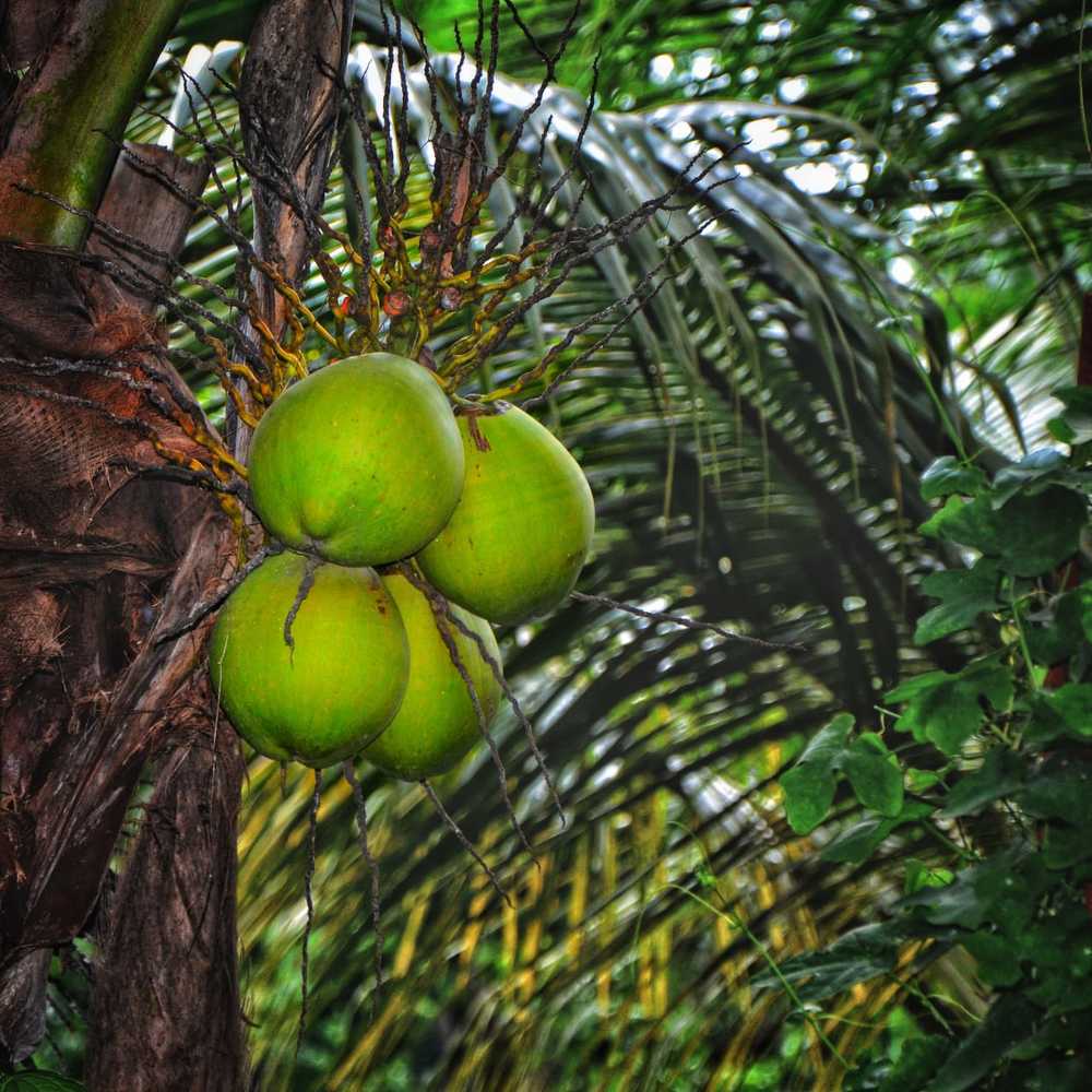 Photograph by Monu Singh