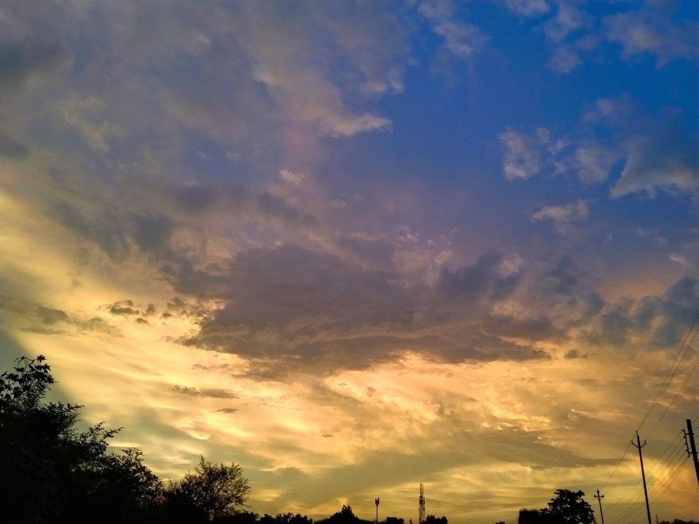 Nature photography