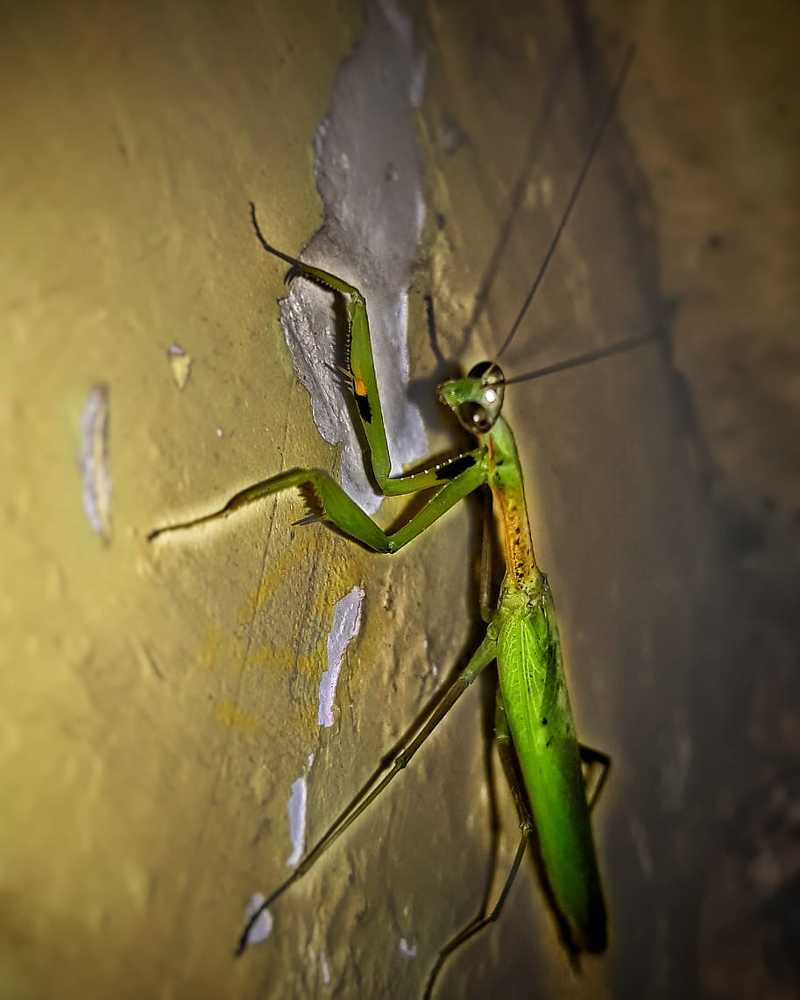 Photograph by Monu Singh