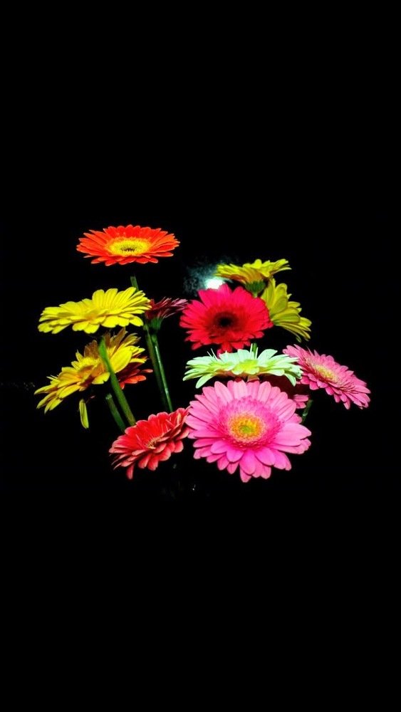 Photograph by Marine Sukiasyan