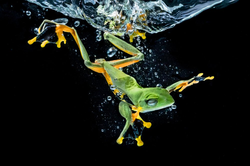 Photograph by Chin Leong Teo