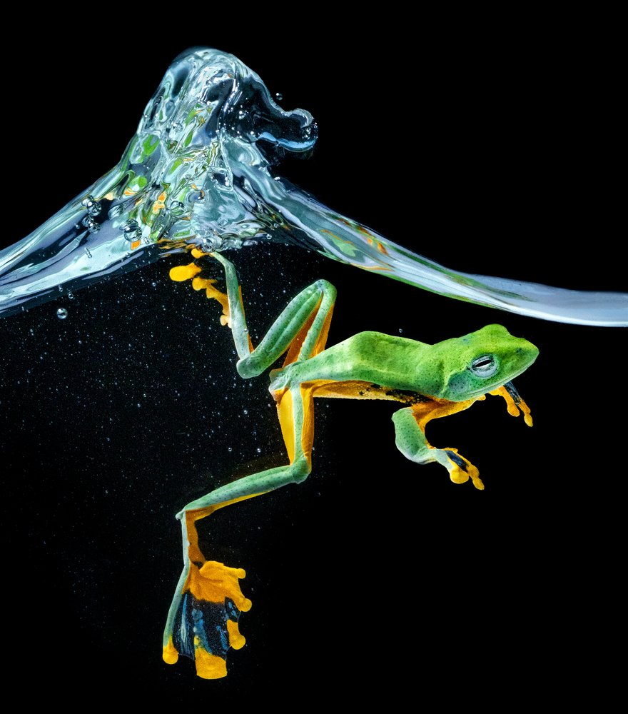 Photograph by Chin Leong Teo