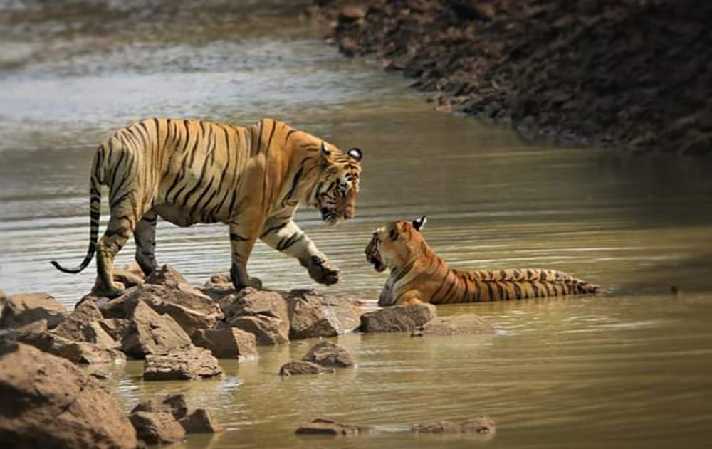 Photograph by bhaskar burman