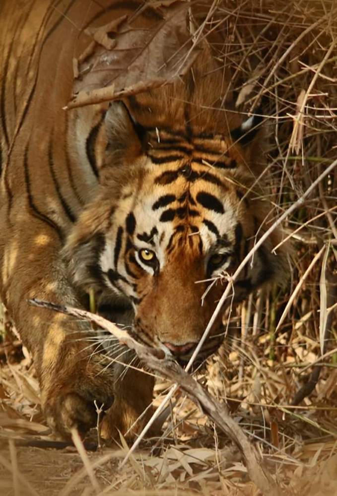 Photograph by bhaskar burman