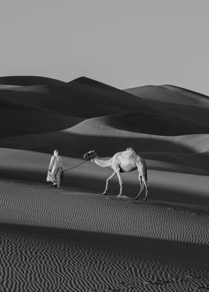 Desert Shadows