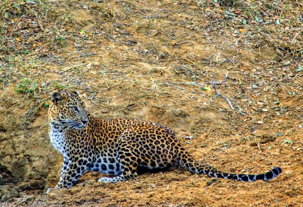 Photograph by Marine Sukiasyan