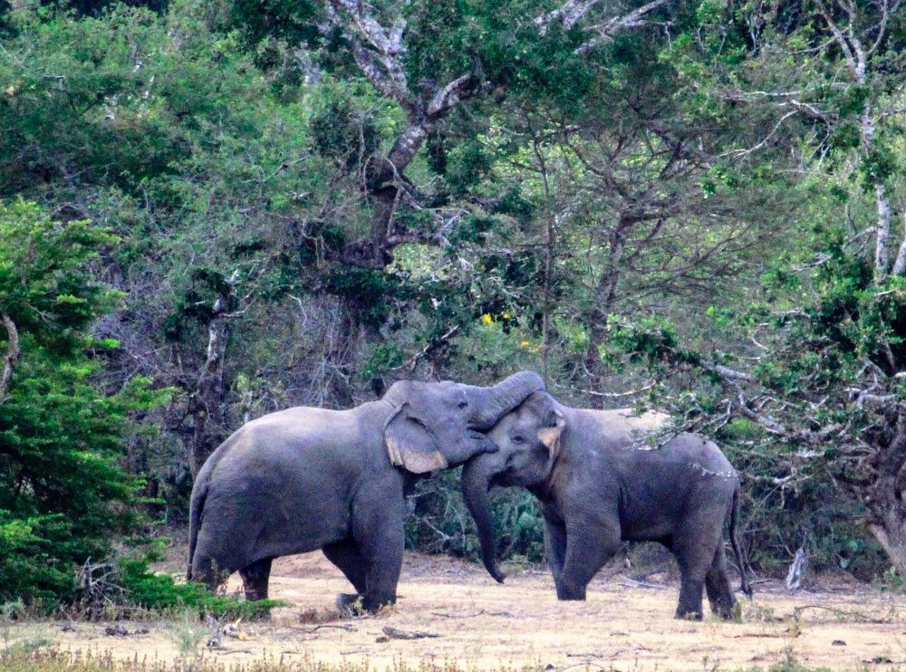 Photograph by Marine Sukiasyan