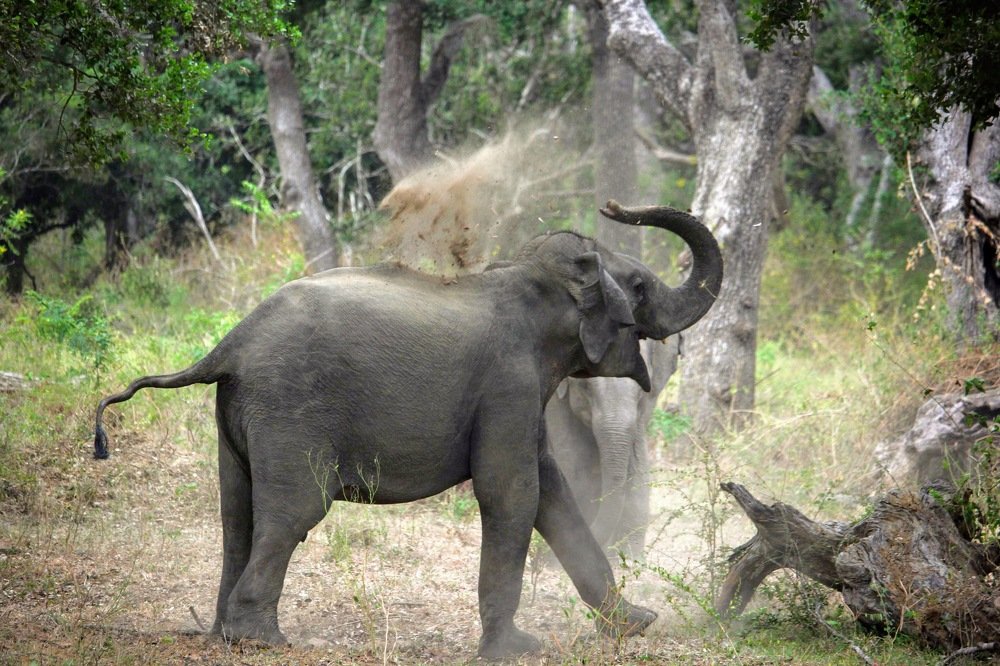 Photograph by Marine Sukiasyan