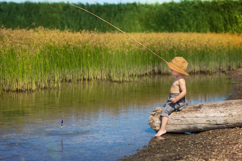 Photograph by Евгения Дахлова