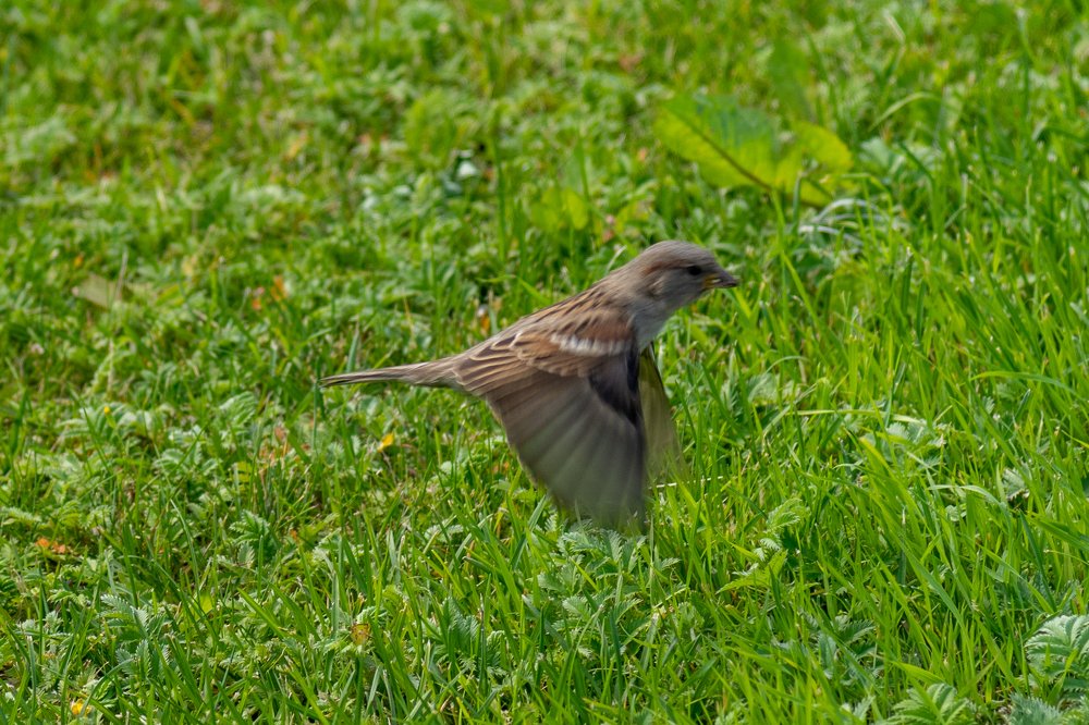 Photograph by Alexey Tsarkov