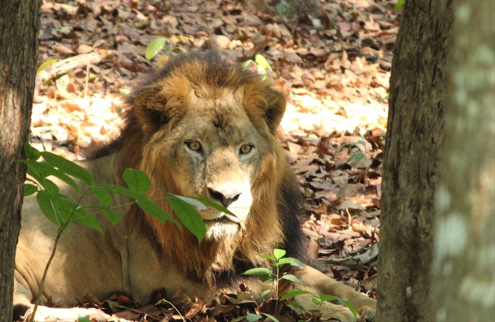 Photograph by Sajith k