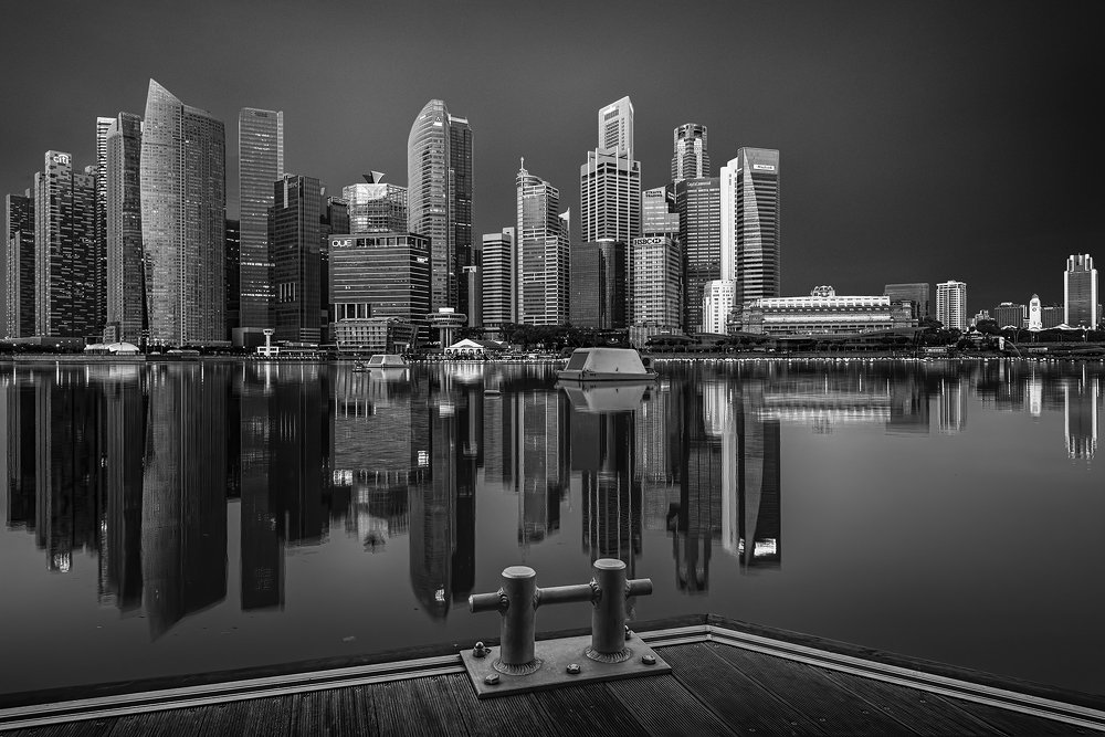 Photograph by PARTHA ROY