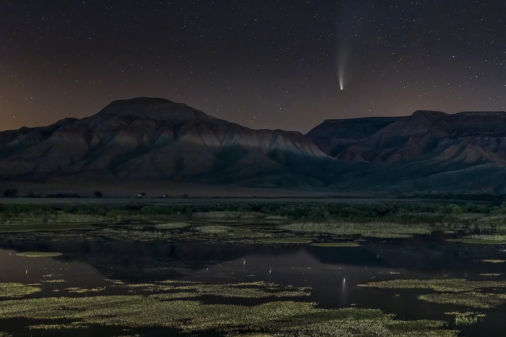 Фотография автора FATIH GONUL