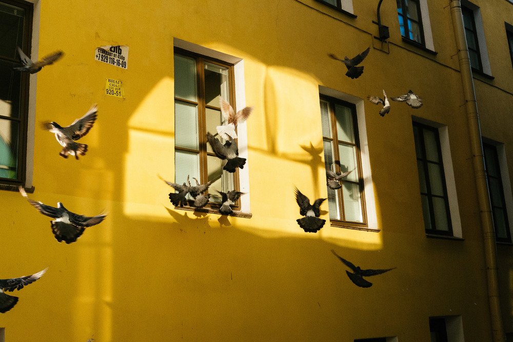 Photograph by steef jordans