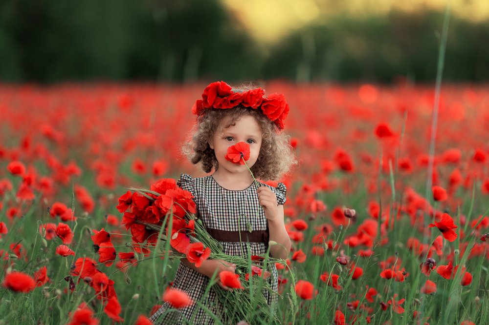 Photo #4798662