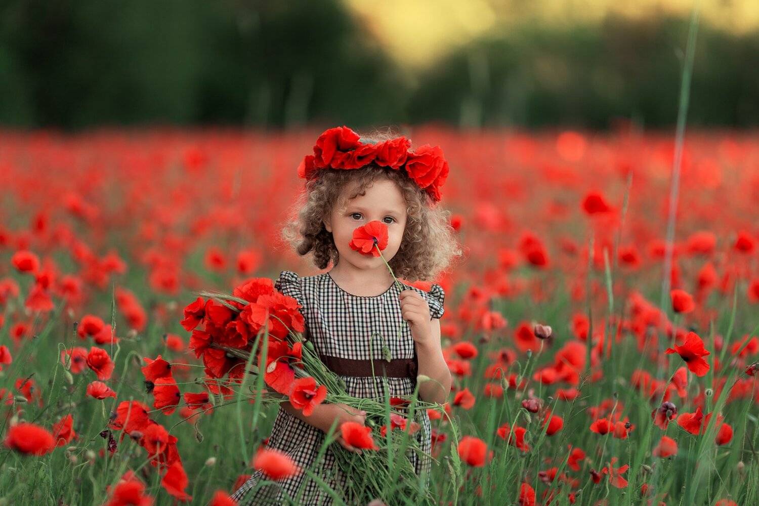 Photo #4798662