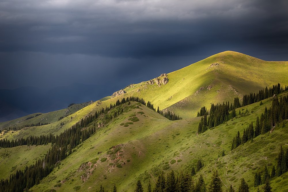 Перед грозой