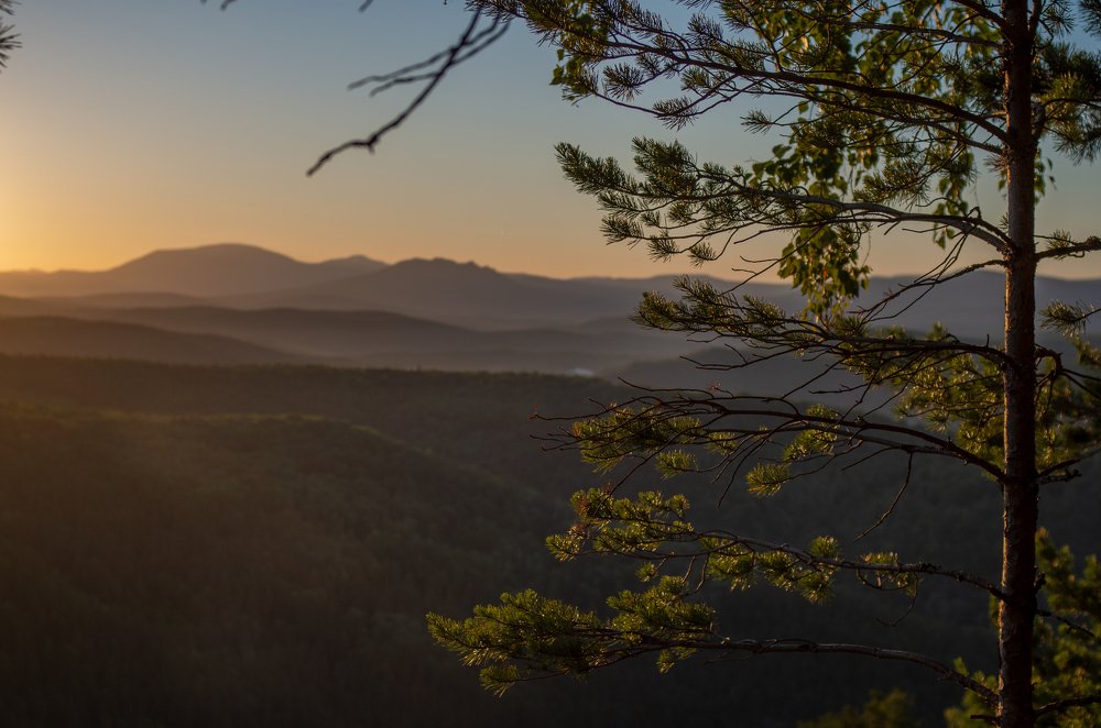 Photograph by Алина Талипова