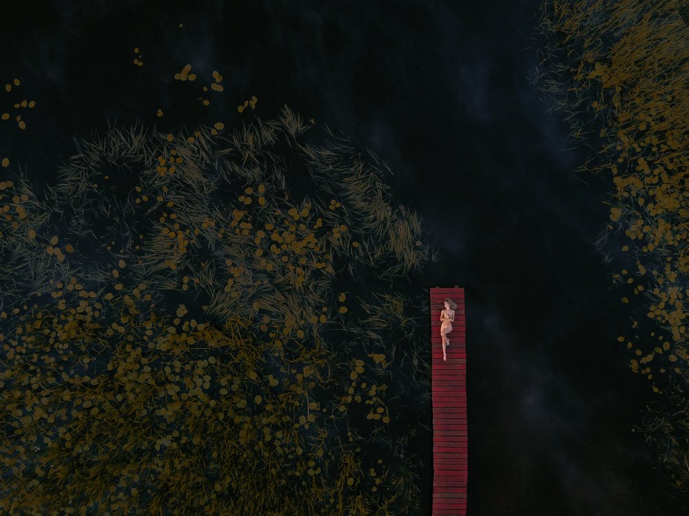 Фотография автора Даниил Алексеев