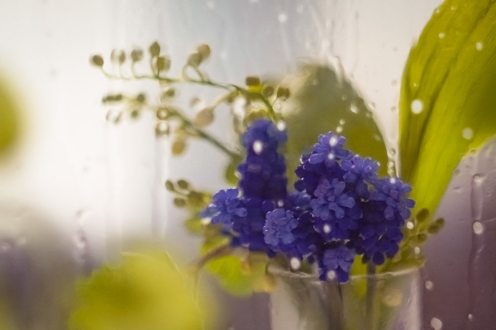 Photograph by Slesareva Nina