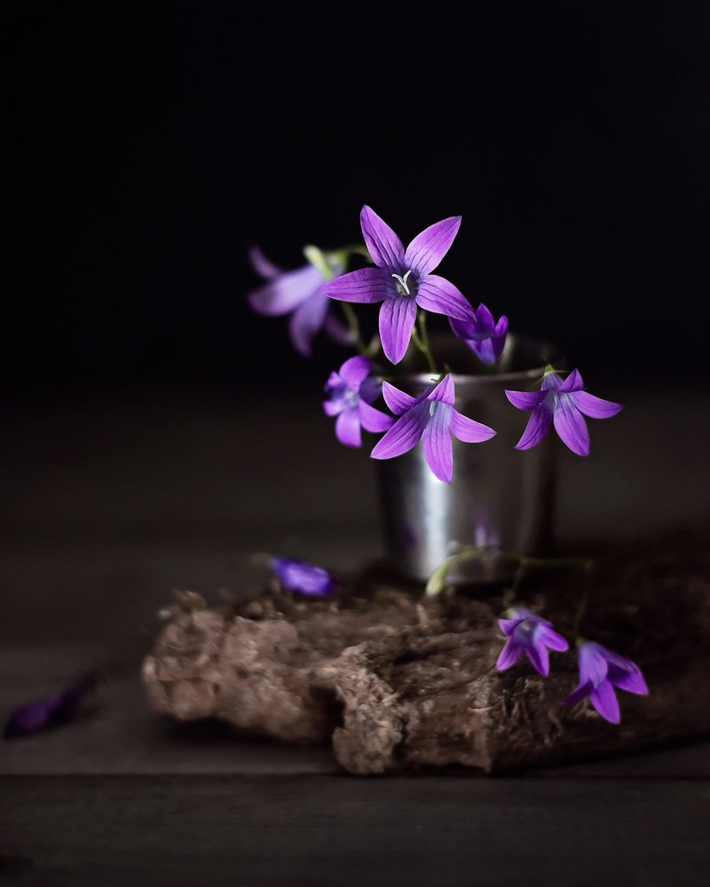 Photograph by Наталья Кабачек