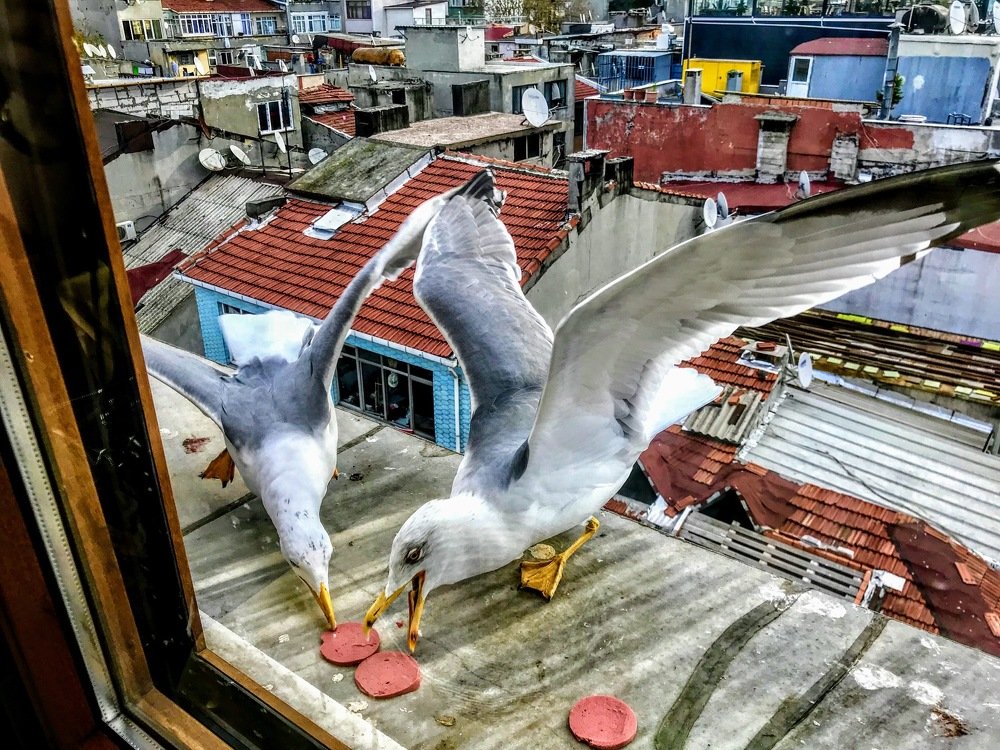 Photograph by Ирина Кропотина