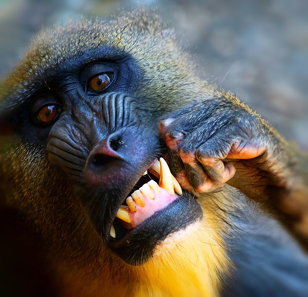 Photograph by David Lerer