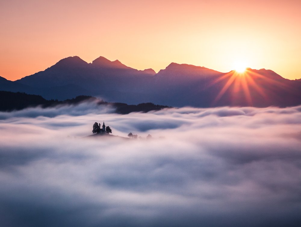 Perfect moment in time.