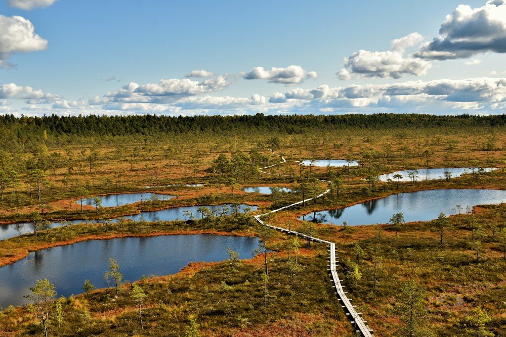 Photograph by Ija Reiman