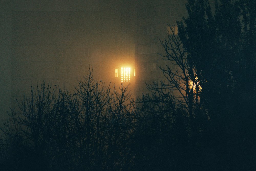 Photograph by Anomalius Arsenius