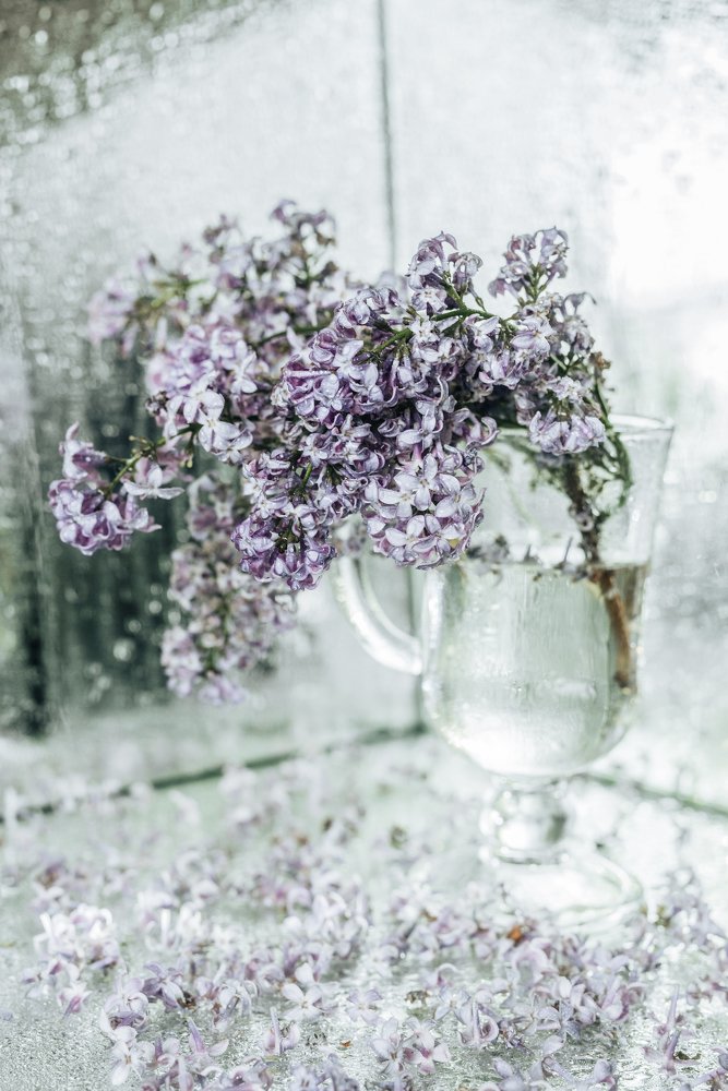 Photograph by Дарья Полева