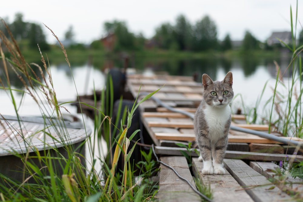 Photograph by Антон Герасимов