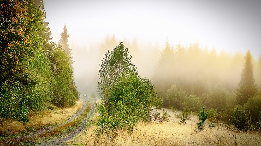 Photograph by Александр Потапов