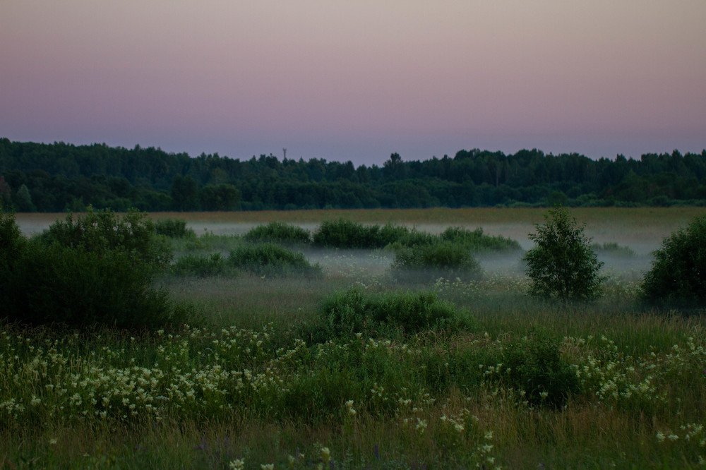 Photograph by Таня Короткова