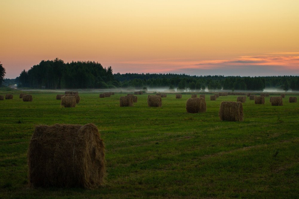 Photograph by Таня Короткова