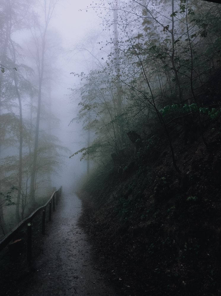 Photograph by Екатерина Орачевская