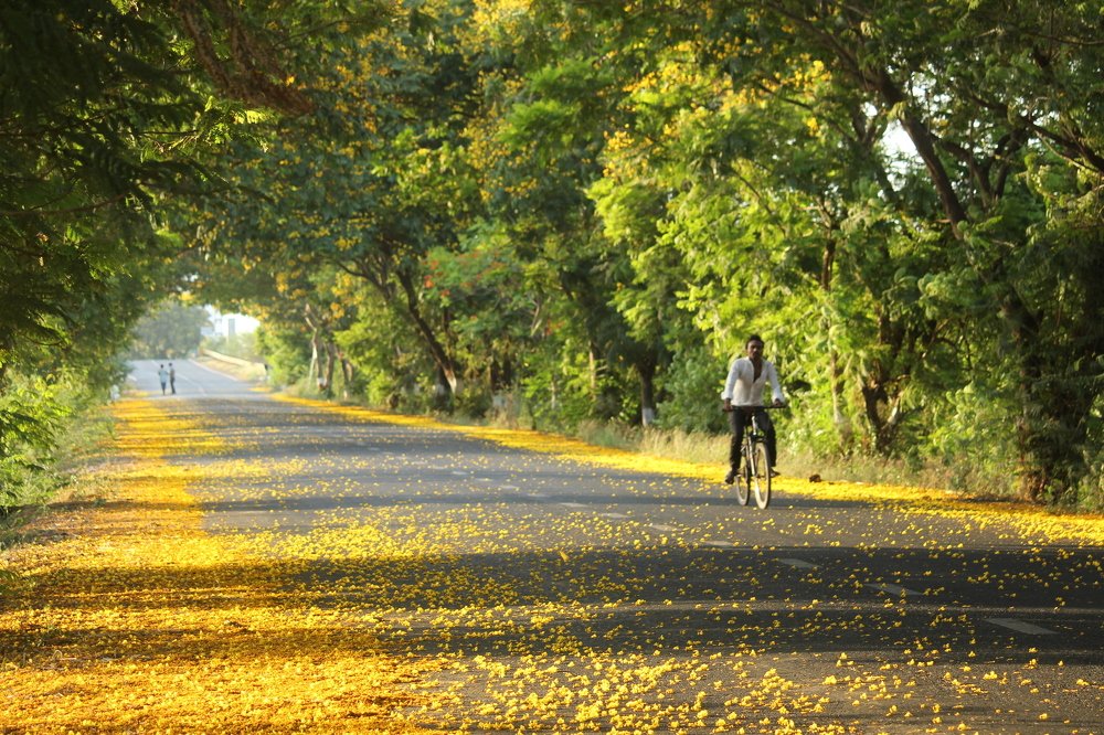 Photograph by Sharad vadoliya