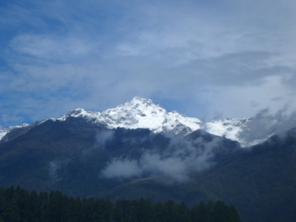 Photo #4799442