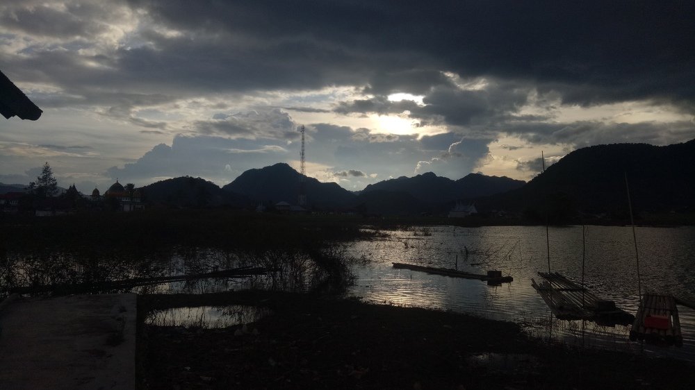 Photo #4799445