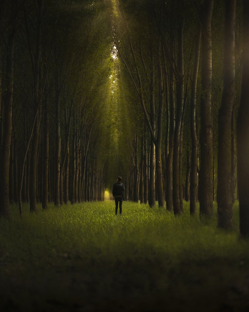 Photograph by Alexandru Novac