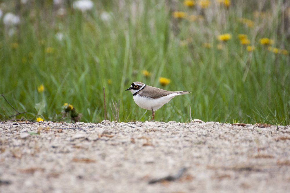Photograph by Александра Савельева