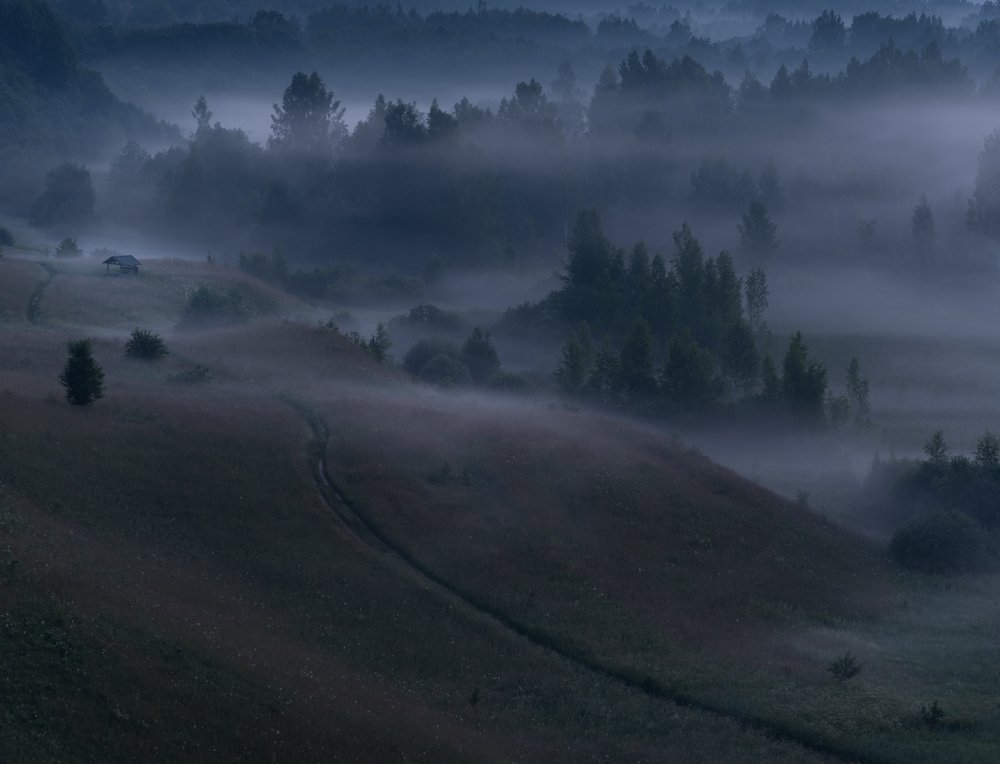 Photograph by Роман Фабричный