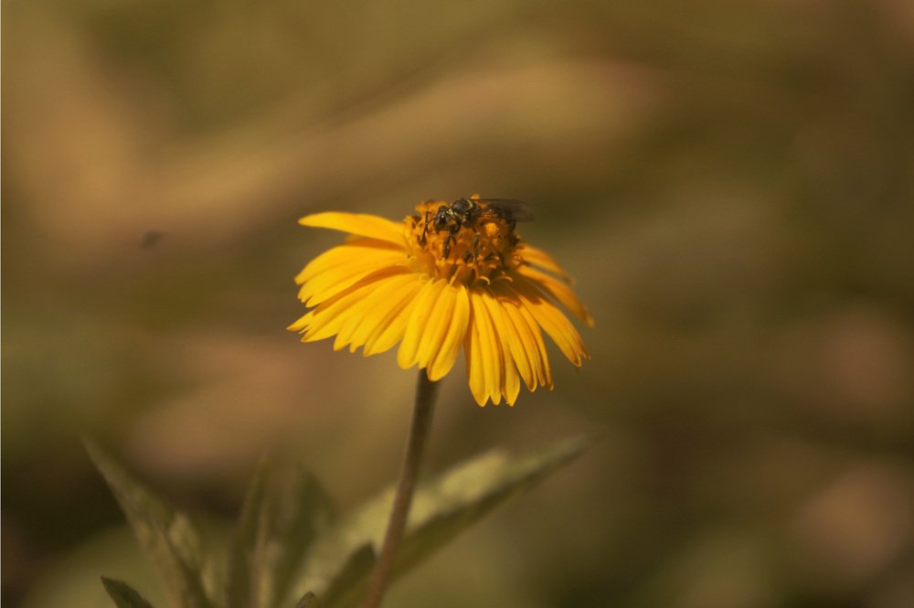 Фотография автора Andre Barbosa