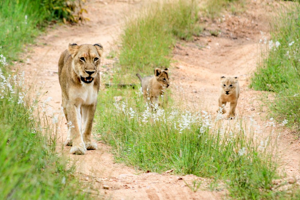 Фотография автора Juan Toledo