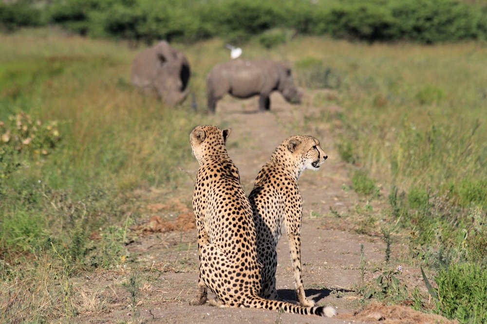 Фотография автора Juan Toledo