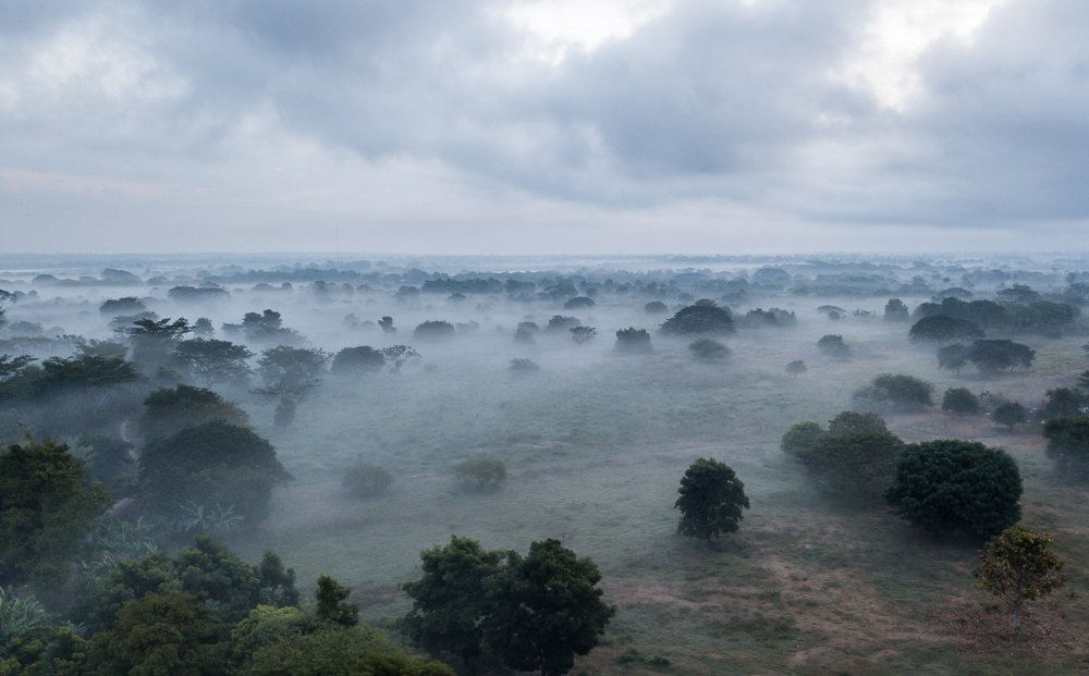 Photograph by Hans Cortes