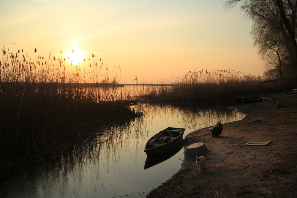 Photograph by Инга Крыжановская